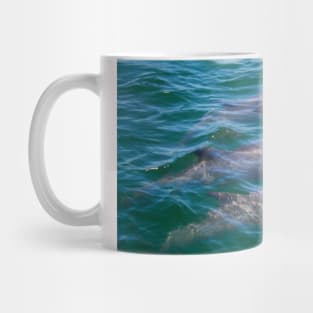 Three Dolphins! Mug